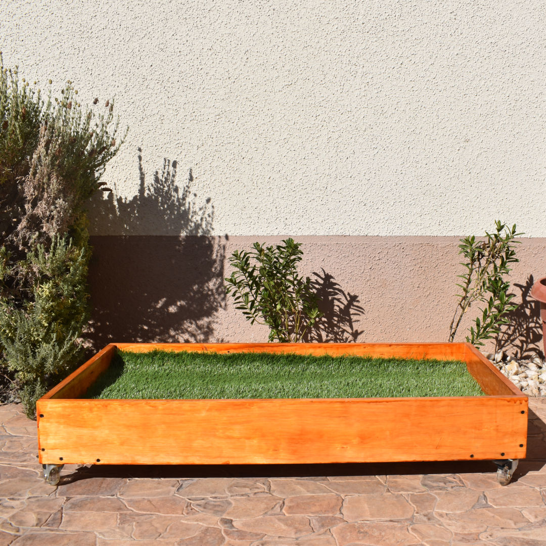 Baño Ecológico para Perro Tamaño mediano pasto natural – mrwouff